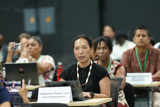 Jennifer Tauli Corpuz, Indigenous Peoples and local communities