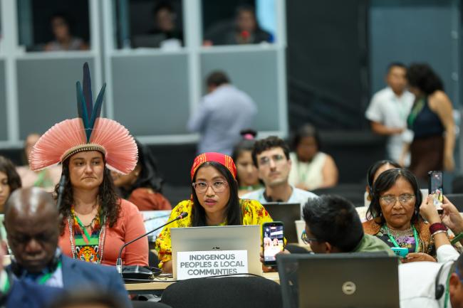 Plenary