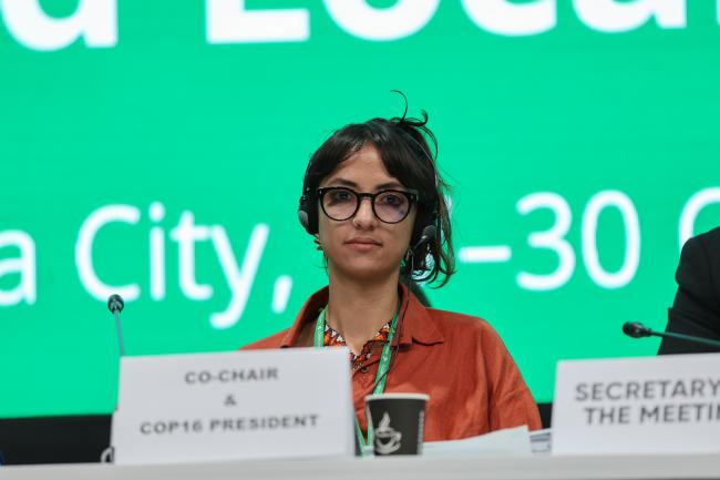 Daniela Durán González, Colombia, co-chaired the afternoon plenary