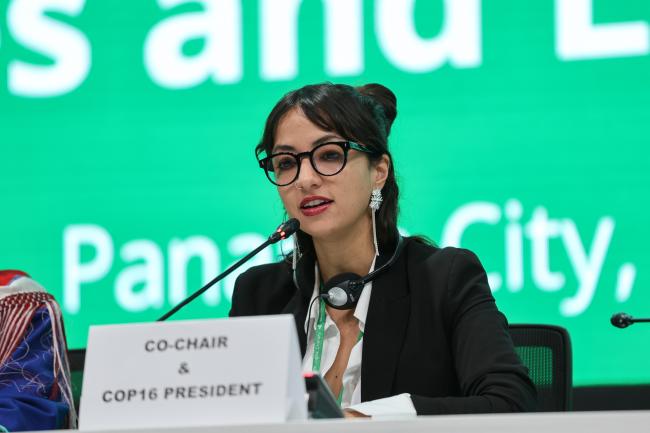 Daniela Durán González, Colombia, co-chaired the morning plenary