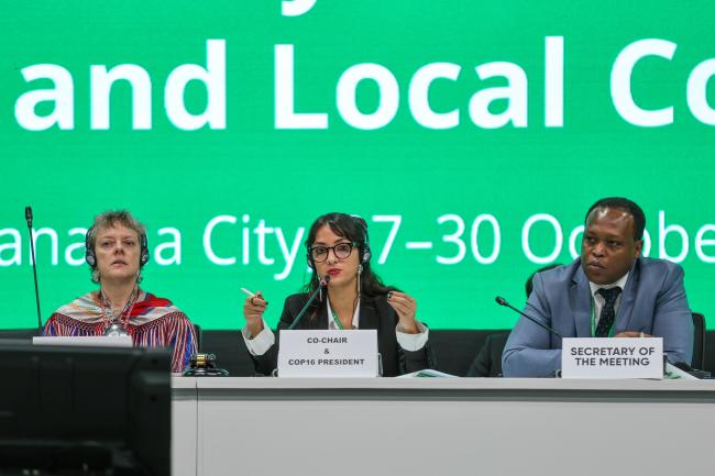 From L-R: SB8j 1 IPLC Co-Chair Gunn-Britt Retter; Daniela Durán González, Colombia; and SB8j 1 Secretary Olivier Rukundo