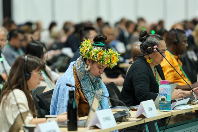 Plenary