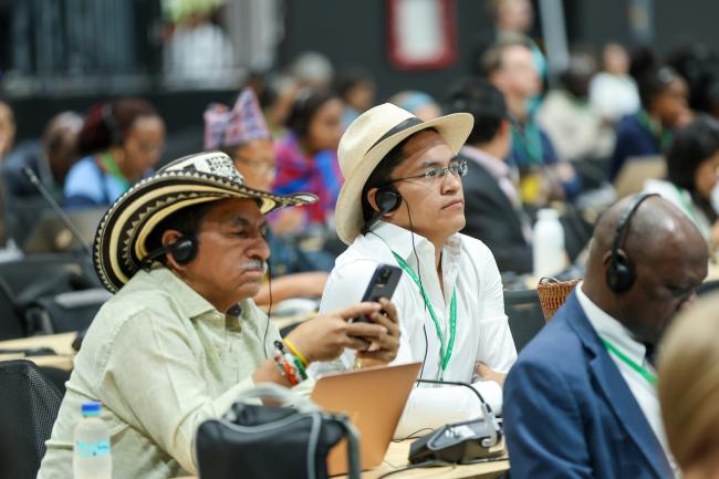 Plenary