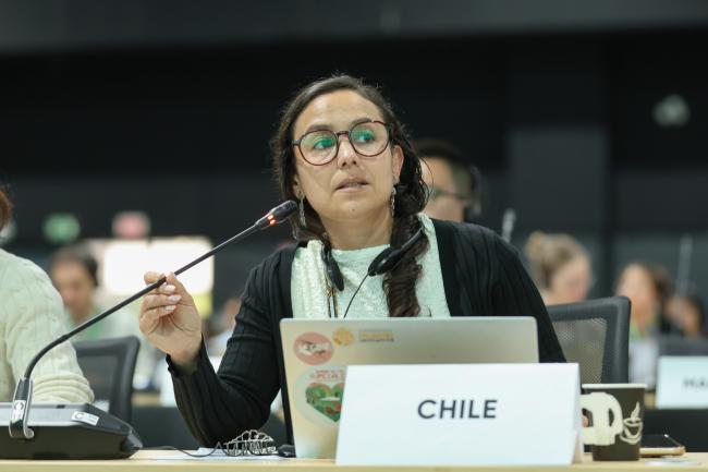 Paulia Stowhas, Chile