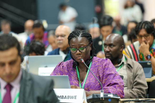Nobesuthu Adelaide Ngwenya, Zimbabwe