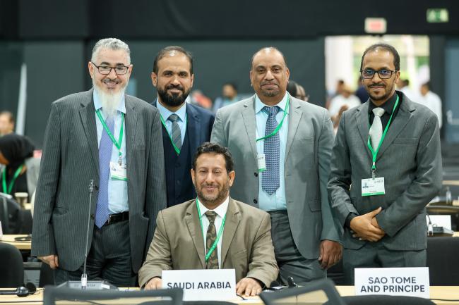 The Saudi delegation
