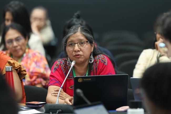 Viviana Figueroa, IIFB