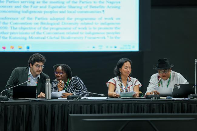 View of the dais during the contact group