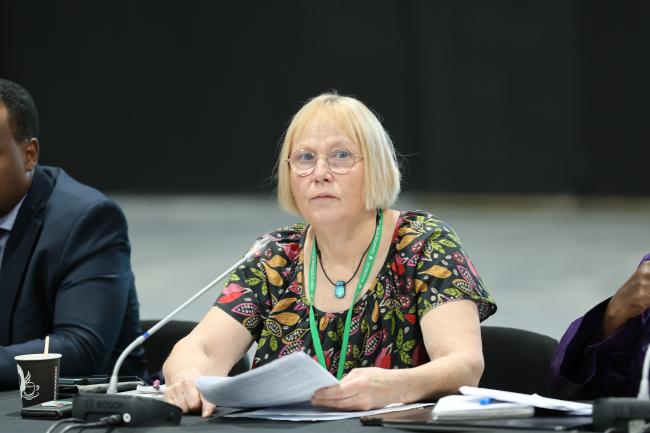 Pernilla Malmer, Co-Chair of the contact group on the modus operandi of SB8j