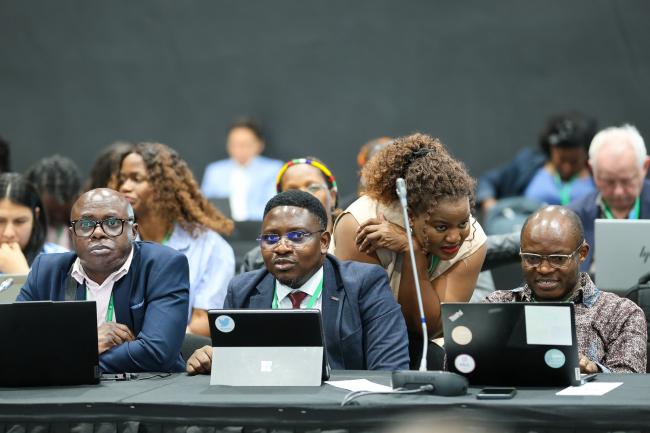Delegates from the African region conferring