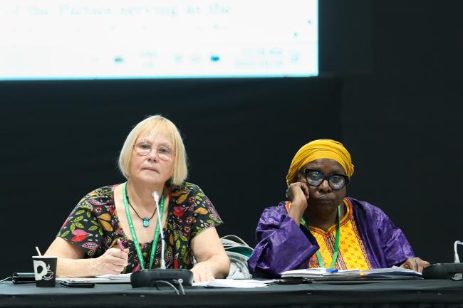 Pernilla Malmer and Lucy Mulenkei, Co-Chairs of the contact group on the modus operandi of SB8j