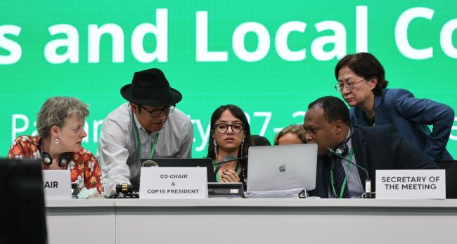 Co-Chairs conferring with the Secretariat