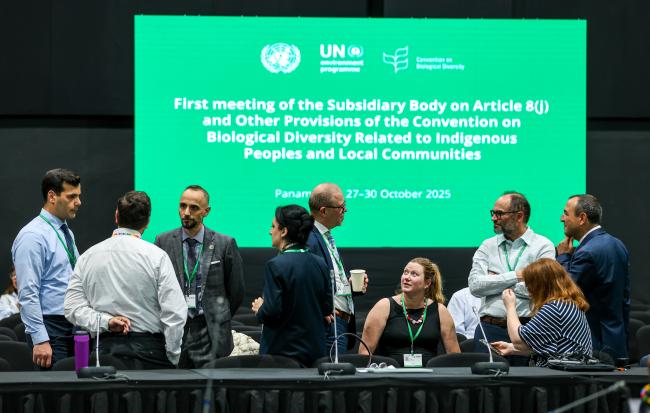 Delegates conferring between contact groups