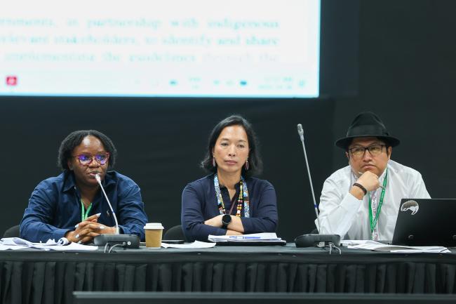 From L-R: Sikeade Egbuwalo and Jennifer Tauli Corpuz, Co-Chairs of the contact group on proposed elements for guidelines related to the Programme of Work on Article 8(j); and Q”apaj Conde Choque, CBD Secretariat