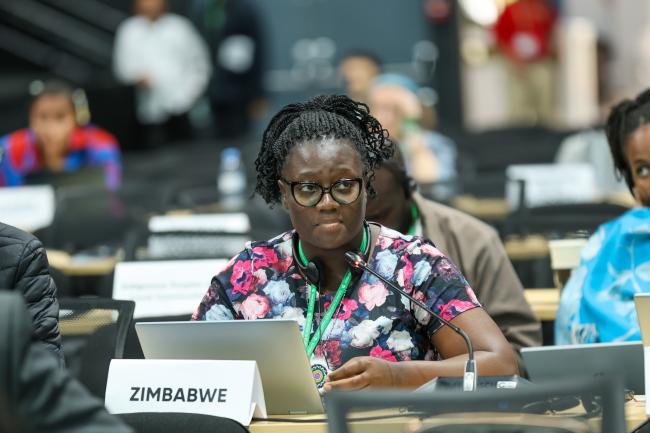 Nobesuthu Adelaide Ngwenya, Zimbabwe
