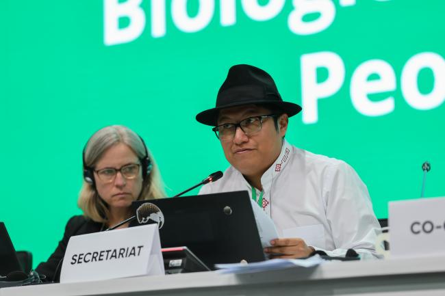 Q”apaj Conde Choque, CBD Secretariat