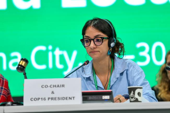 Acting Co-Chair Daniela Durán González, Colombia