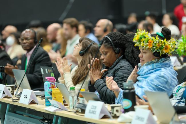 Plenary