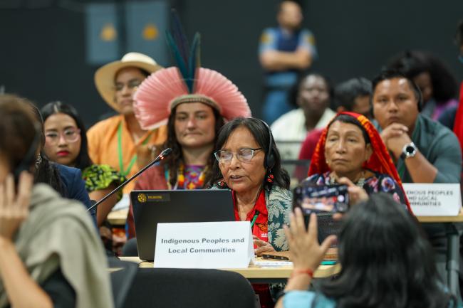 Florina López, International Indigenous Forum on Biodiversity