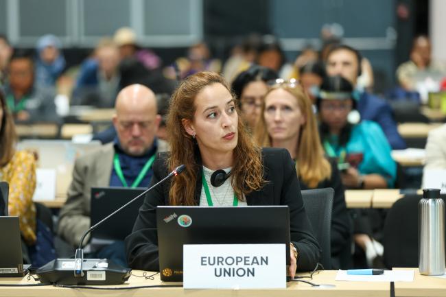 Nadja Steinfort, EU