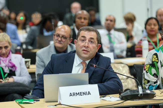 Mher Margaryan, Armenia