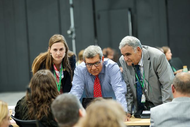 Plenary