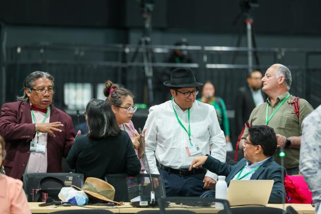 Q”apaj Conde Choque, CBD Secretariat talking with Indigenous Peoples' representatives
