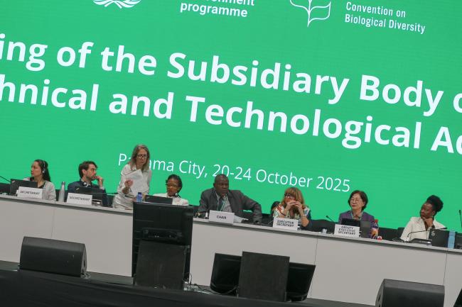 View of the dais during the morning plenary