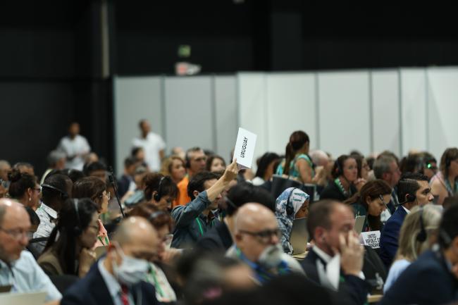 Parties supporting an intervention from the CBD Women's Caucus