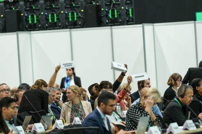 Parties supporting an intervention from the CBD Women's Caucus