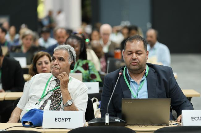 Moustafa Fouda and Ossama AbdelKawy, Egypt