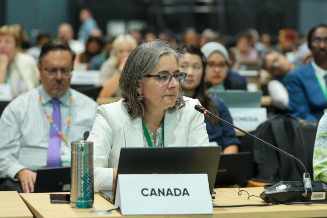 Carolina Cáceres, Canada