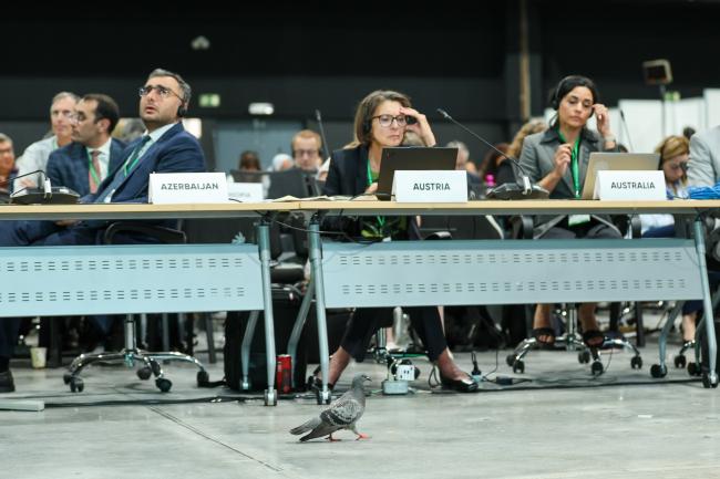 Plenary 