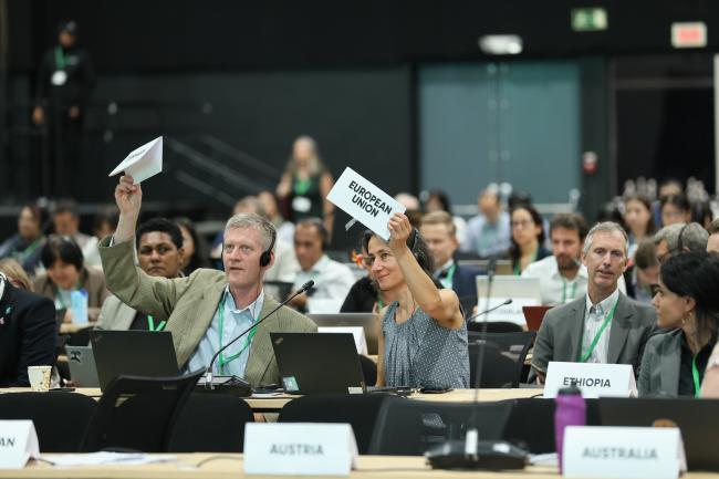 Plenary