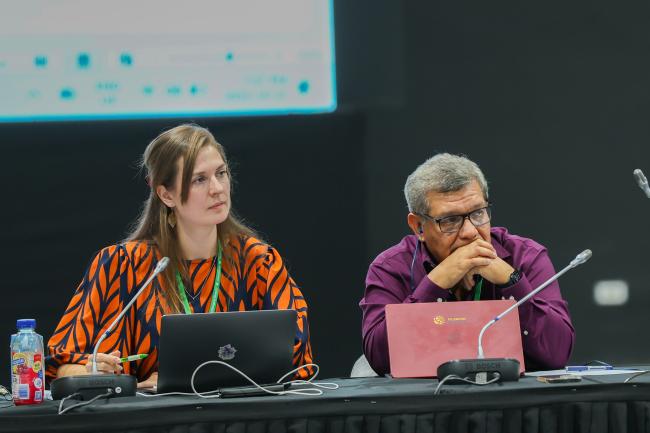 Contact Group on the global review of collective progress in the implementation of the GBF Co-Chairs Sanne Kruid, the Netherlands and Hesiquio Benítez Díaz, Mexico
