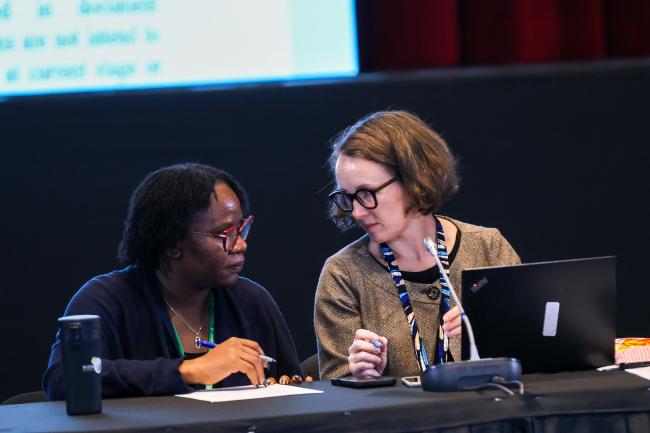 Contact Group on biodiversity and climate change Co-Chairs Sikeade Egbuwalo, Nigeria, and Clarisse Kehler Siebert, Sweden