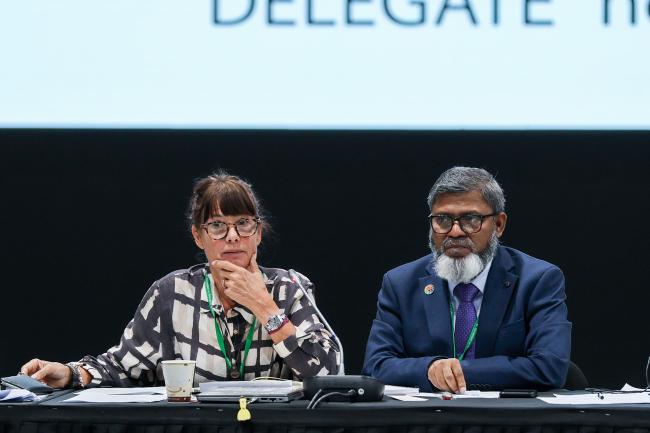 Marina von Weissenberg, Finland, and Jahidul Kabir, Bangladesh, Co-Chairs of the contact group on the programme of work on forest biodiversity 