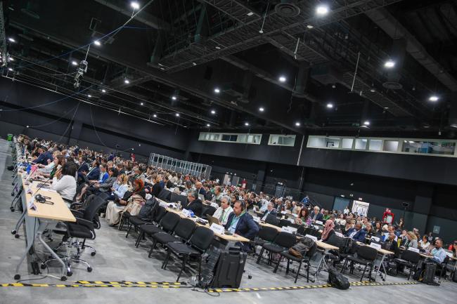 View of the room during the afternoon plenary