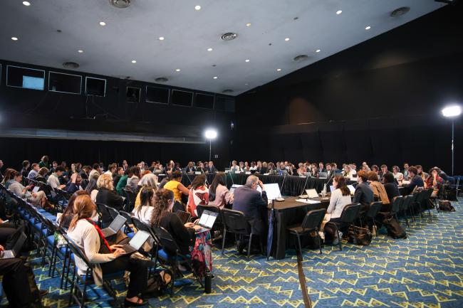 View of the room during a Contact Group on biodiversity and climate change