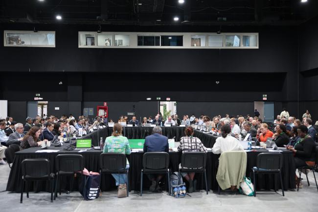 View of the room during the contact group on the programme of work on forest biodiversity 