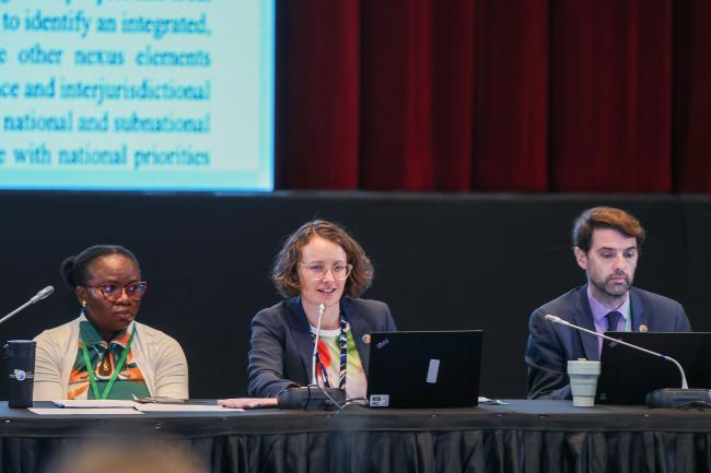 Sikeade Egbuwalo, Nigeria, and Clarisse Kehler Siebert, Sweden, Co-Chairs of the contact group on biodiversity and climate change, and Tristan Tyrrell, CBD Secretariat