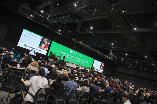 View of the room during the afternoon plenary