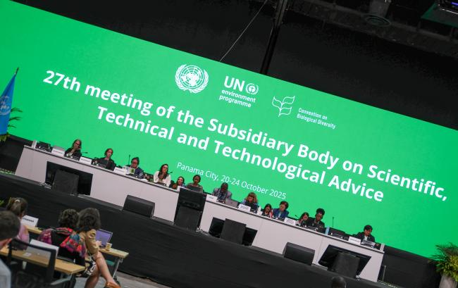 View of the dais during the opening plenary