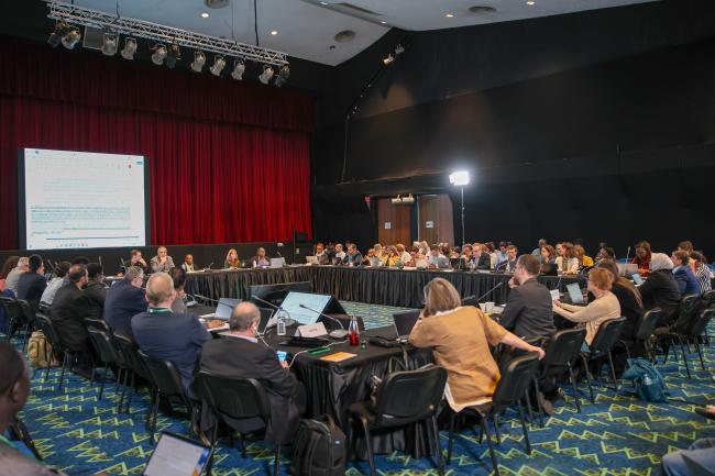 View of the room during the contact group on risk assessment and risk management of living modified organisms
