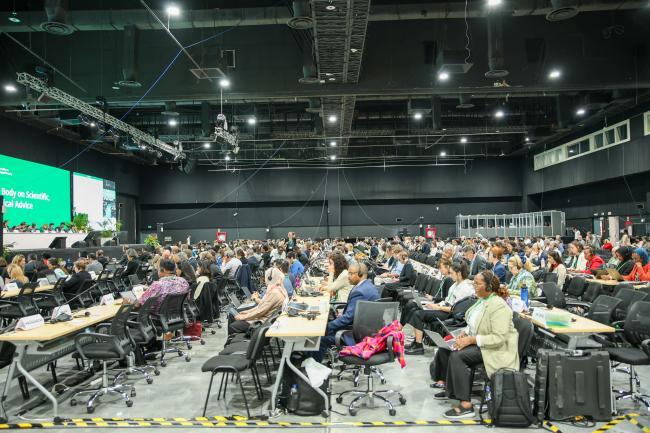 View of the room during the morning plenary