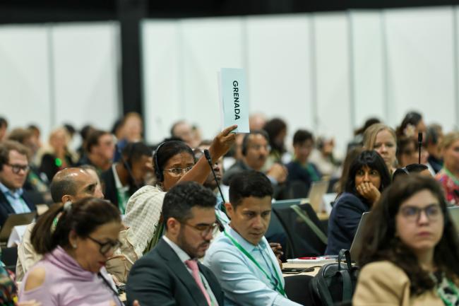 Plenary