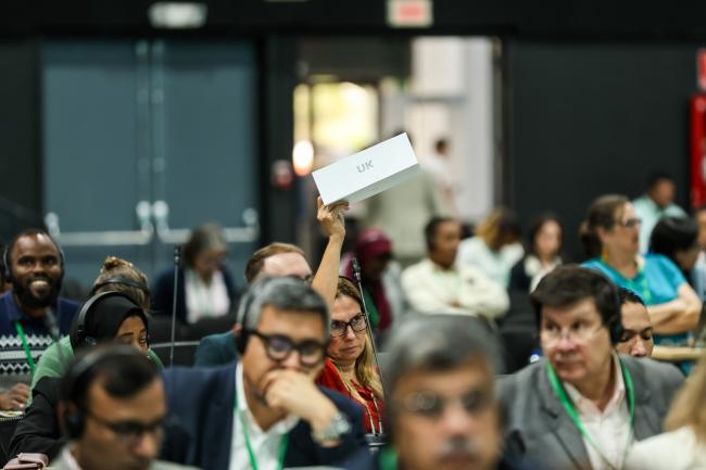 Plenary