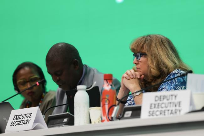CBD Executive Secretary Astrid Schomaker