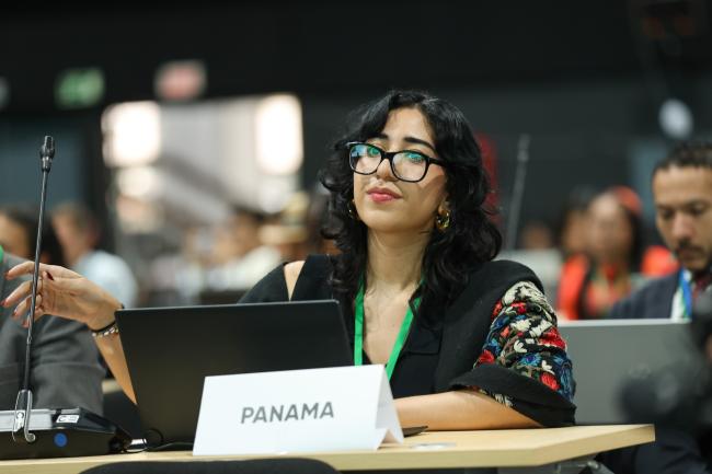 Mari Castillo, Panama