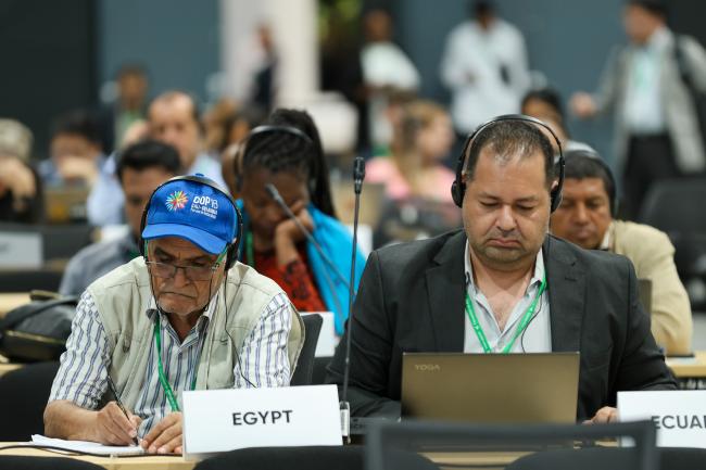 Moustafa Fouda and Ossama AbdelKawy, Egypt